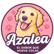 Aza logo